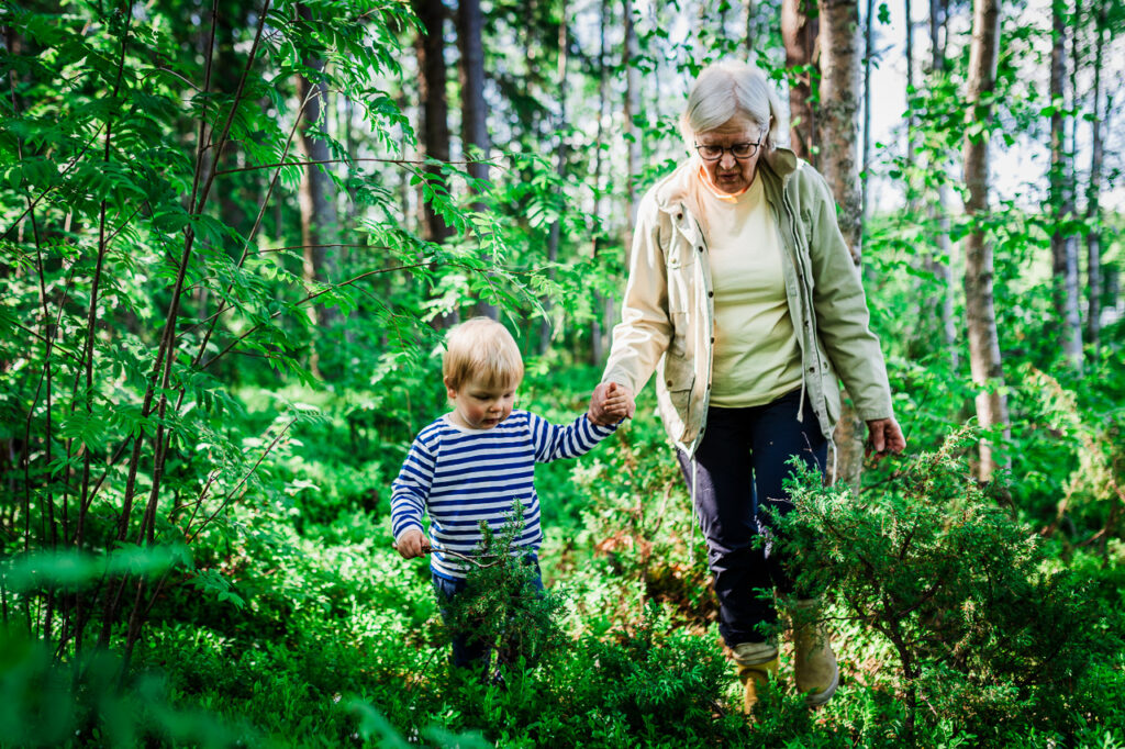 Vanhempi henkilö kävelee lapsen kanssa käsi kädessä koivuvaltaisessa metsikössä.