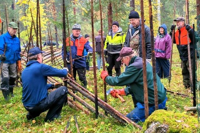 Useita henkilöitä rakentamassa aitaa. 