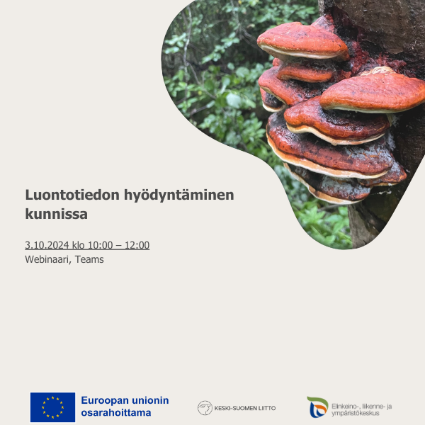 Koristellinen artikkelikuva Luontotiedon hyödyntäminen kunnissa -webinaarista 3.10.2024