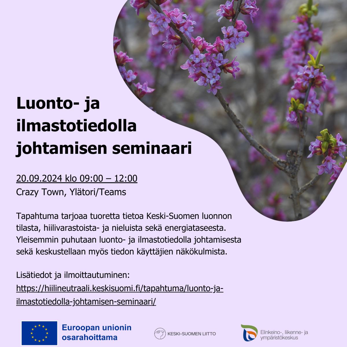 Koristeellinen mainoskuva luonto- ja ilmastotiedolla johtamisen seminaarista.