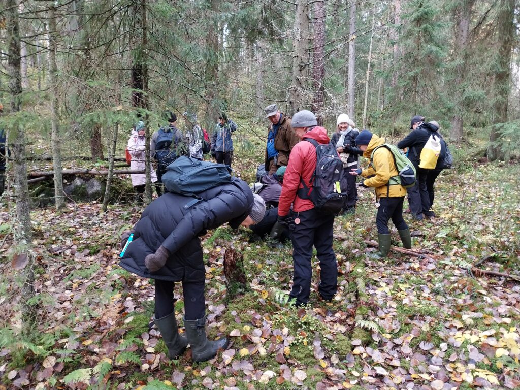 Joukko ihmisiä metsässä. Monet ihmisistä katselevat maata.